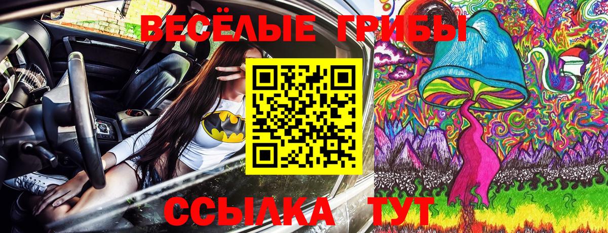 Галлюциногенные грибы ЛСД Россия
